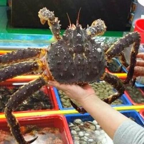 대표 썸네일