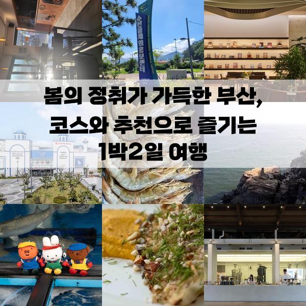 봄의 정취가 가득한 부산, 코스와 추천으로 즐기는 1박2일 여행: 가볼만한곳