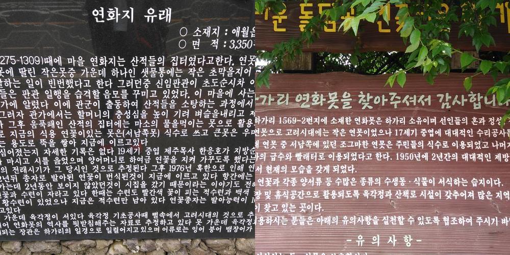 연화지: 아름다운 호수에서의 여유로운 산책
