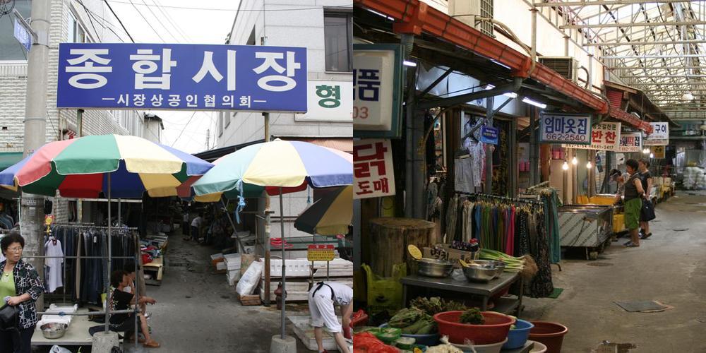 주문진종합시장에서 만나는 신선한 해산물과 즐거움