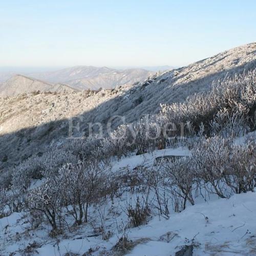 태백산: 겨울철 눈꽃과 안전한 등산코스
