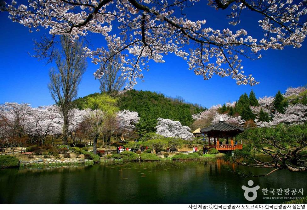 경주 여행지 추천: 보문정 주차장 및 데이트 코스 완전 정복
