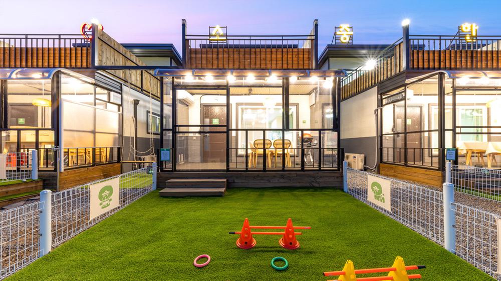 경기도 가평 근처 애견동반 펜션 숙소 추천｜반려견과 힐링 여행 즐기기