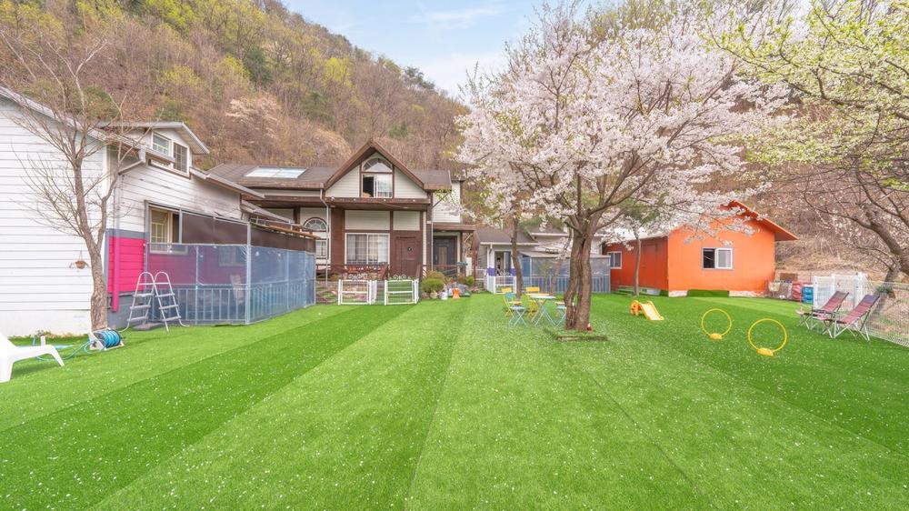 경기도 가평 근처 애견동반 펜션 숙소 추천｜반려견과 힐링 여행 즐기기