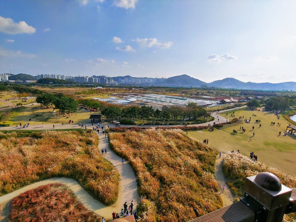 서울·경기도 근처 가을 억새 나들이 명소 추천 리스트 10곳 서울·경기도 근처 가을 억새 나들이 명소 추천 리스트 10곳