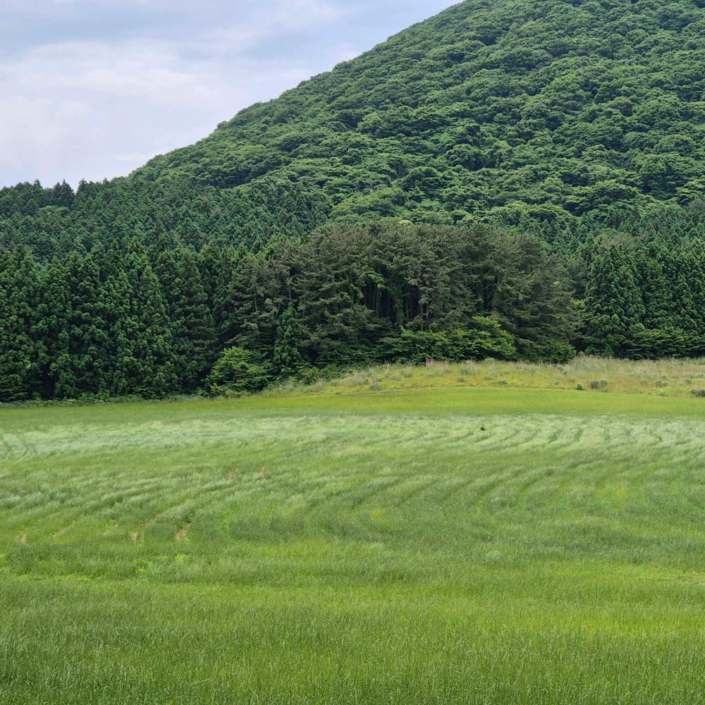 제주도 서쪽 여행 코스 추천, 많이 찾는 명소 및 놀거리 리스트 10곳