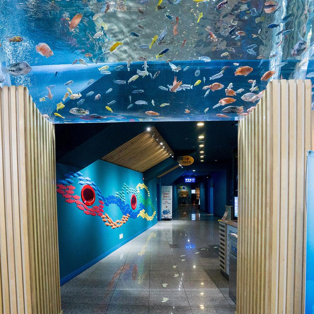 충청도 가족 여행지 코스 추천｜나들이 힐링 명소 리스트 BEST 10