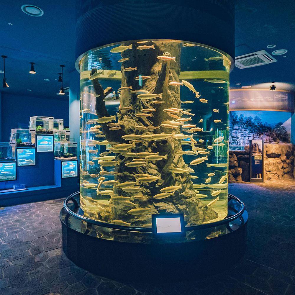 충청도 가족 여행지 코스 추천｜나들이 힐링 명소 리스트 BEST 10