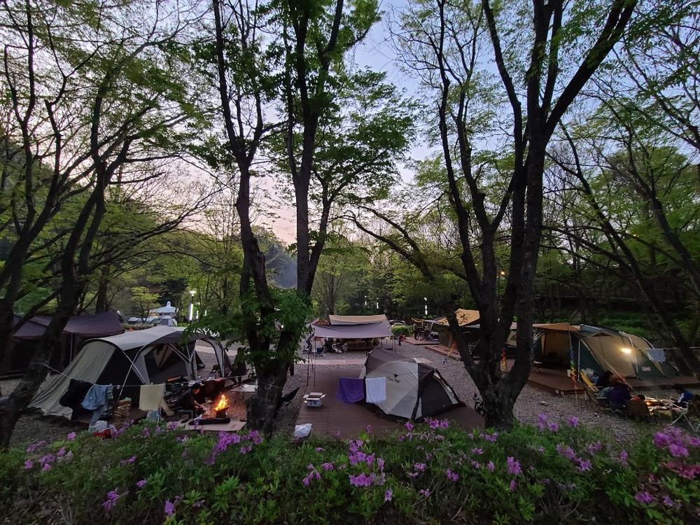 충청도 가족 여행지 코스 추천｜나들이 힐링 명소 리스트 BEST 10