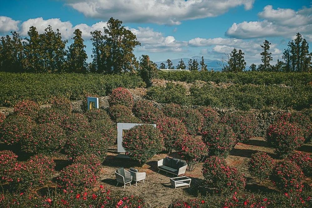 제주도 서쪽 여행 코스 추천, 많이 찾는 명소 및 놀거리 리스트 10곳