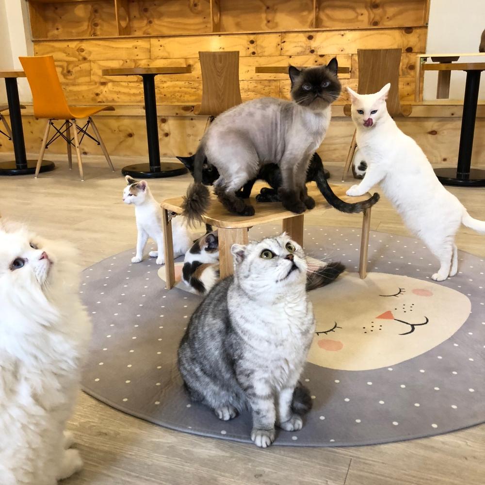 대구 실내 데이트 가볼만한곳·놀거리 추천 리스트 10