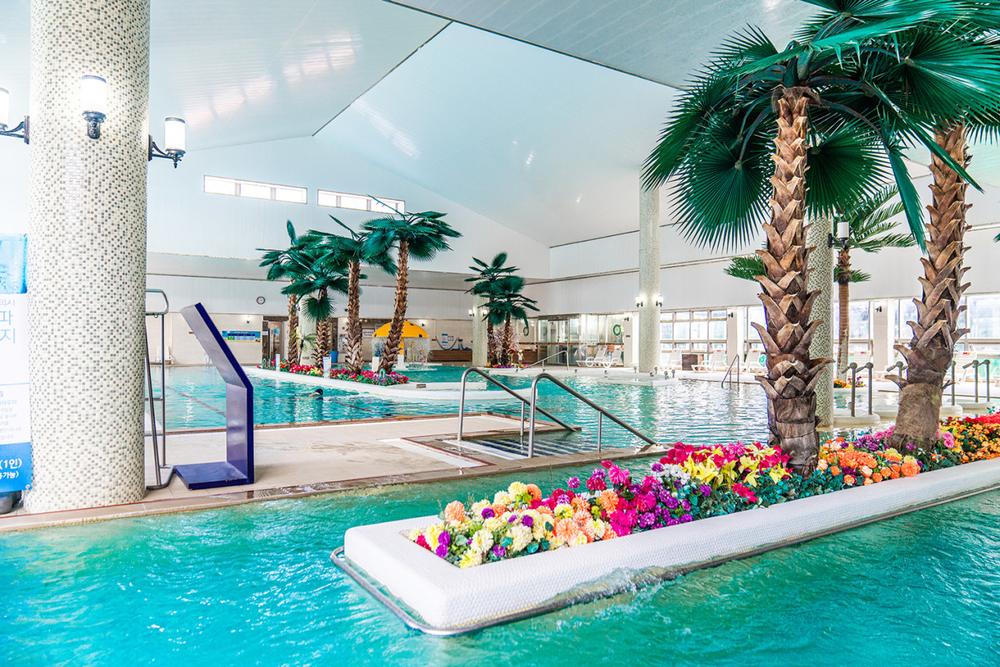 전라도 아이와 함께 여름 휴가 가볼만한곳 여행지 추천｜물놀이 워터파크 명소 BEST 8