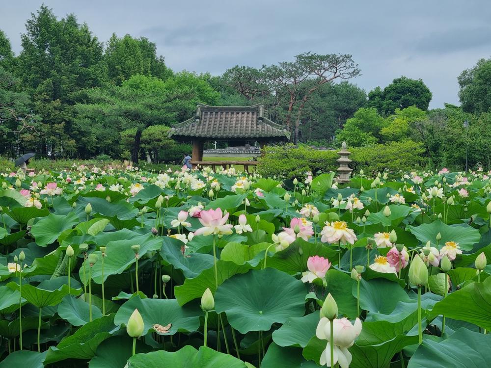 주말 나들이 코스! 경기 북부 가볼만한곳 여행지 BEST 10
