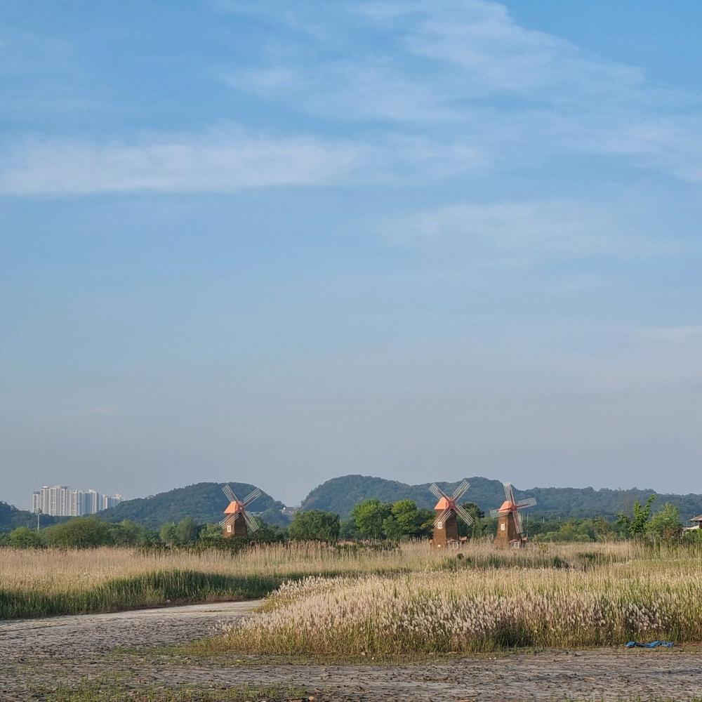 서울·경기도 근처 가을 억새 나들이 명소 추천 리스트 10곳 서울·경기도 근처 가을 억새 나들이 명소 추천 리스트 10곳