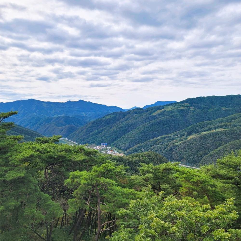 충청도 가족 여행지 코스 추천｜나들이 힐링 명소 리스트 BEST 10