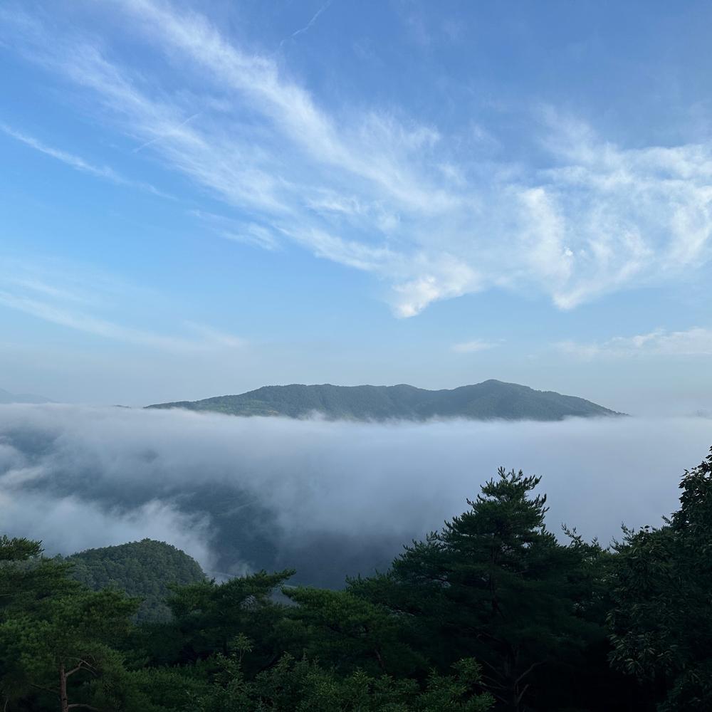 충청도 가족 여행지 코스 추천｜나들이 힐링 명소 리스트 BEST 10