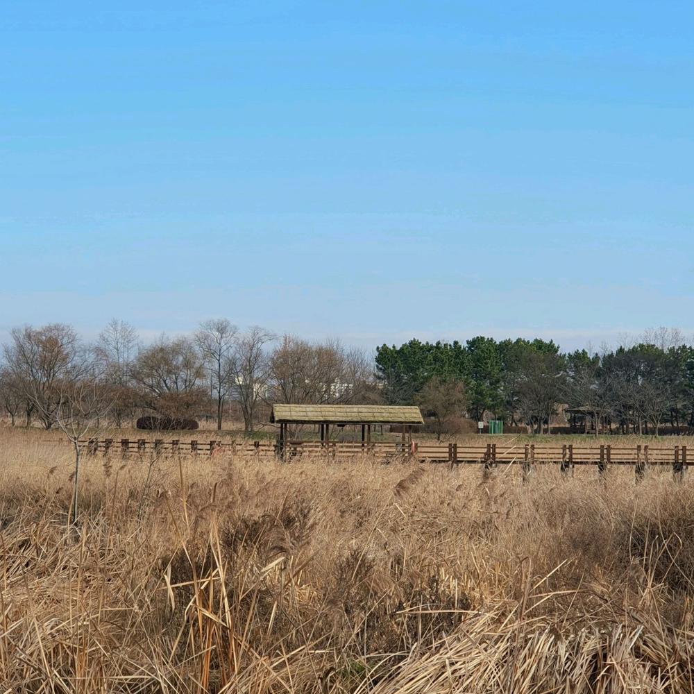 서울·경기도 근처 가을 억새 나들이 명소 추천 리스트 10곳 서울·경기도 근처 가을 억새 나들이 명소 추천 리스트 10곳