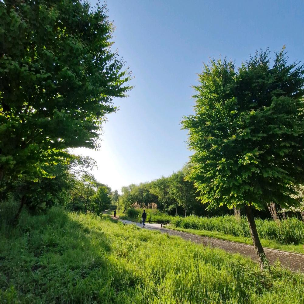 서울·경기도 근처 가을 억새 나들이 명소 추천 리스트 10곳 서울·경기도 근처 가을 억새 나들이 명소 추천 리스트 10곳