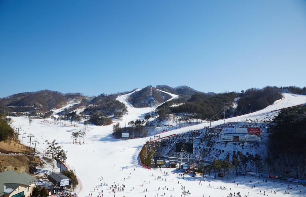 강원도 겨울 여행지 추천! 인기 스키장 리스트 9 강원도 겨울 여행지 추천! 인기 스키장 리스트 9