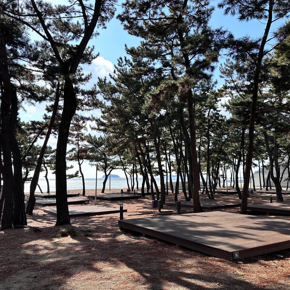 서울 근교 인천 차박 장소 추천｜노지 캠핑 명소 리스트 4곳