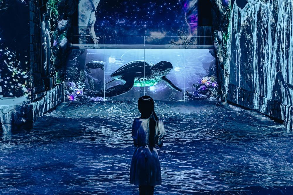 제주도 서쪽 여행 코스 추천, 많이 찾는 명소 및 놀거리 리스트 10곳