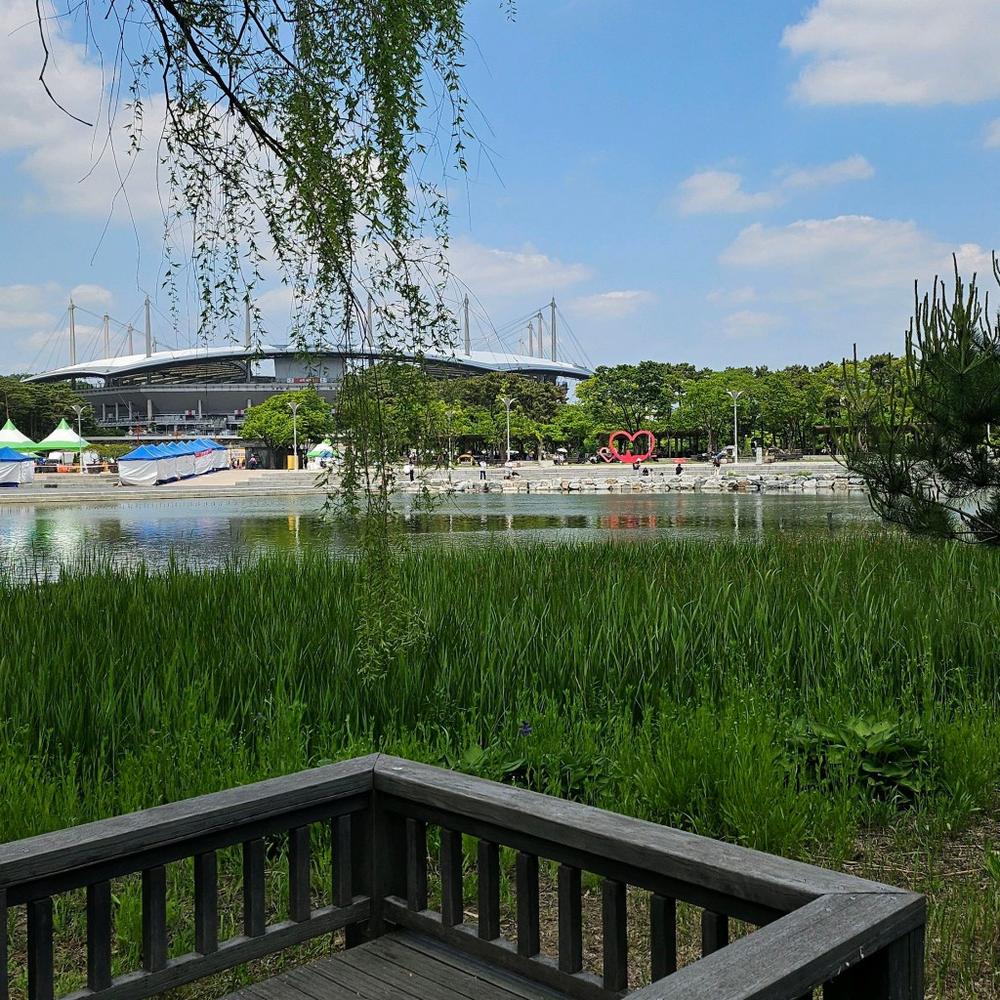 서울·경기도 근처 가을 억새 나들이 명소 추천 리스트 10곳 서울·경기도 근처 가을 억새 나들이 명소 추천 리스트 10곳