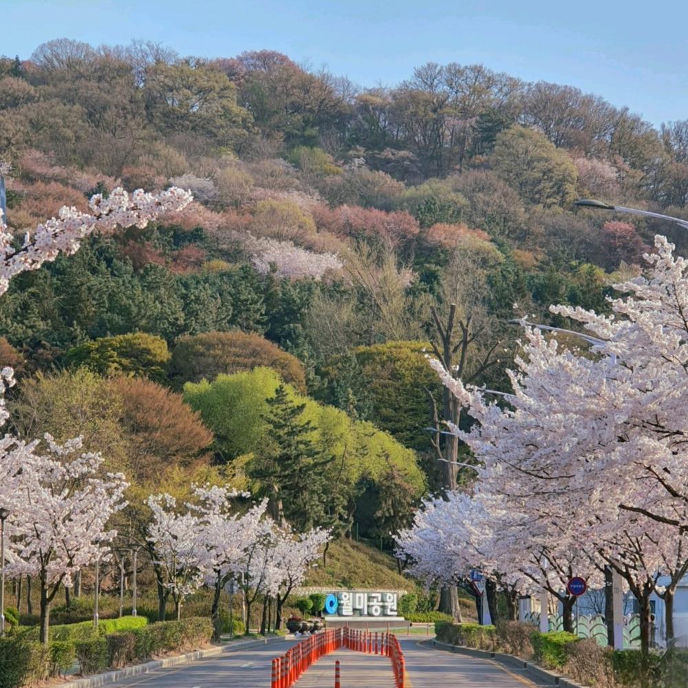 인천 월미도 가볼만한곳|데이트 코스 장소 추천 (맛집·카페 포함) 10곳 인천 월미도 가볼만한곳|데이트 코스 장소 추천 (맛집·카페 포함) 10곳