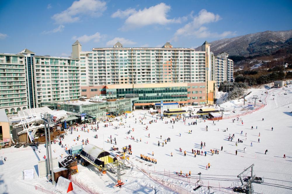 강원도 겨울 여행지 추천! 인기 스키장 리스트 9 강원도 겨울 여행지 추천! 인기 스키장 리스트 9