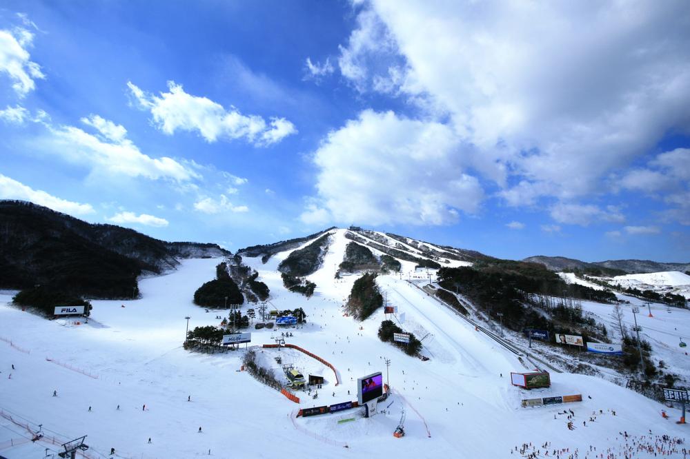 강원도 겨울 여행지 추천! 인기 스키장 리스트 9 강원도 겨울 여행지 추천! 인기 스키장 리스트 9