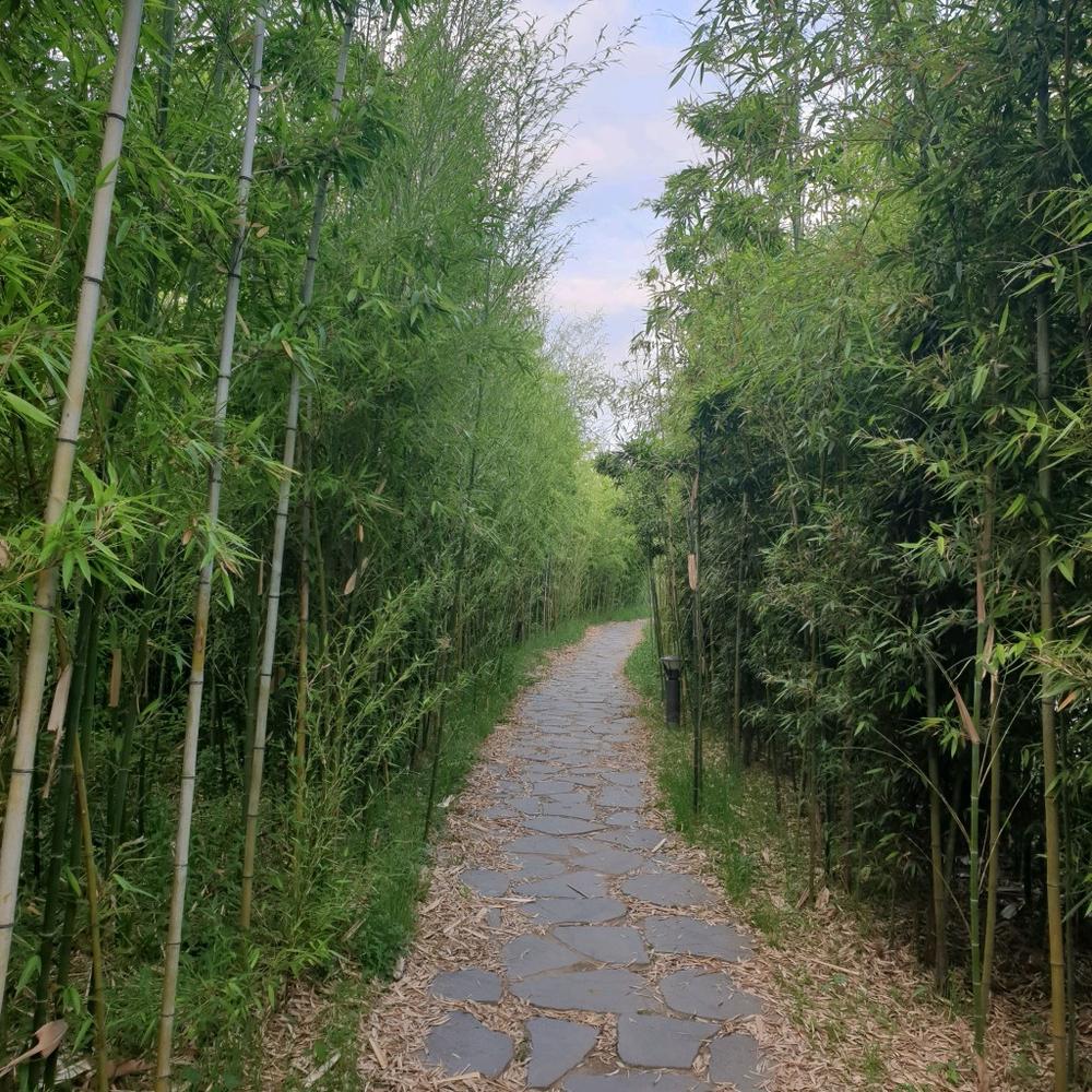 서울·경기도 근처 가을 억새 나들이 명소 추천 리스트 10곳 서울·경기도 근처 가을 억새 나들이 명소 추천 리스트 10곳