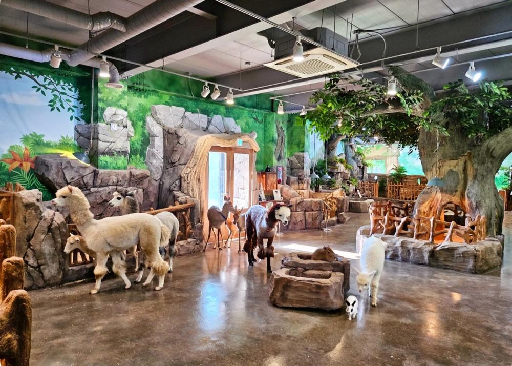 충청도 가족 여행지 코스 추천｜나들이 힐링 명소 리스트 BEST 10