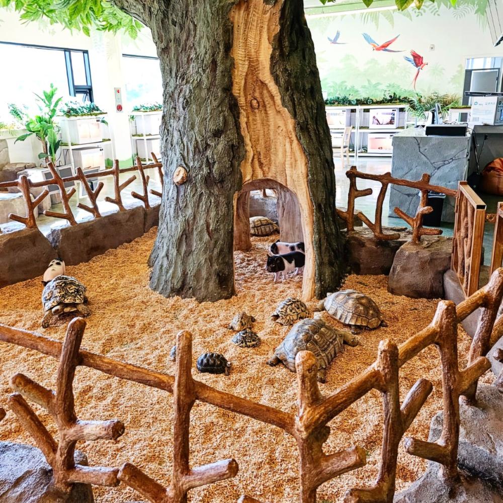 충청도 가족 여행지 코스 추천｜나들이 힐링 명소 리스트 BEST 10