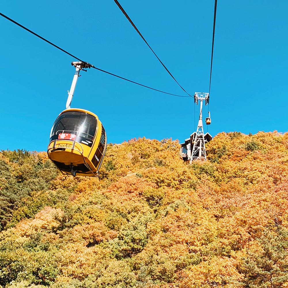 대구 근교 드라이브 명소 및 데이트 코스 추천 리스트 TOP 10