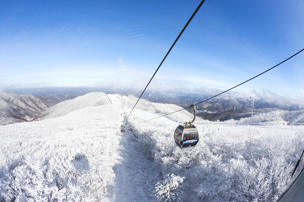 강원도 겨울 여행지 추천! 인기 스키장 리스트 9 강원도 겨울 여행지 추천! 인기 스키장 리스트 9