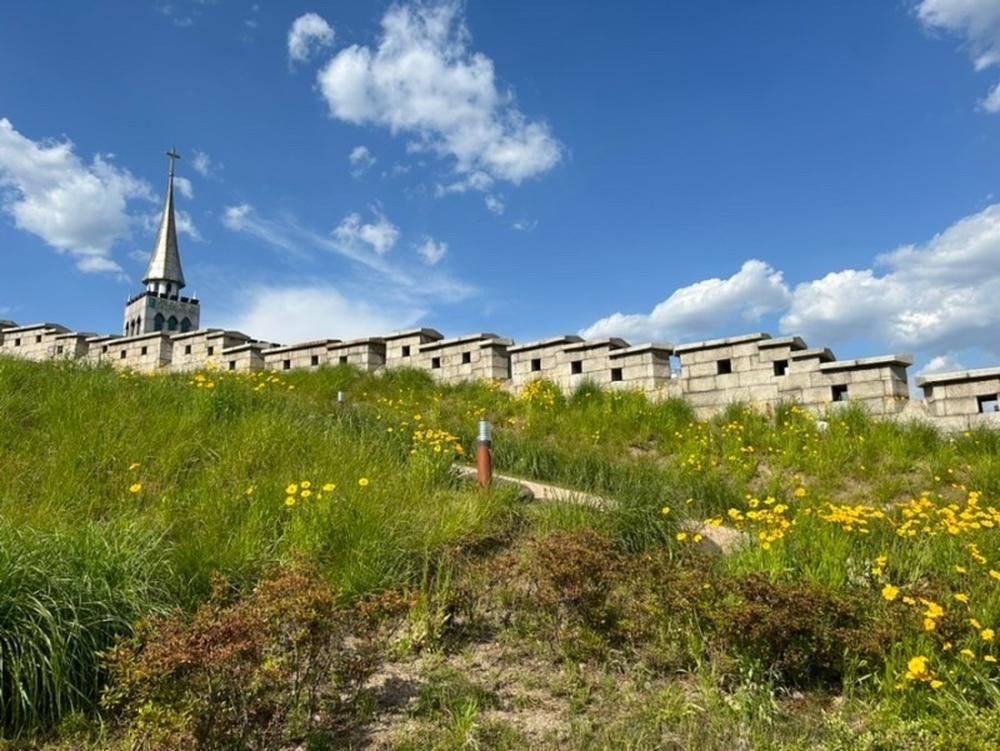 서울·경기도 근처 가을 억새 나들이 명소 추천 리스트 10곳 서울·경기도 근처 가을 억새 나들이 명소 추천 리스트 10곳
