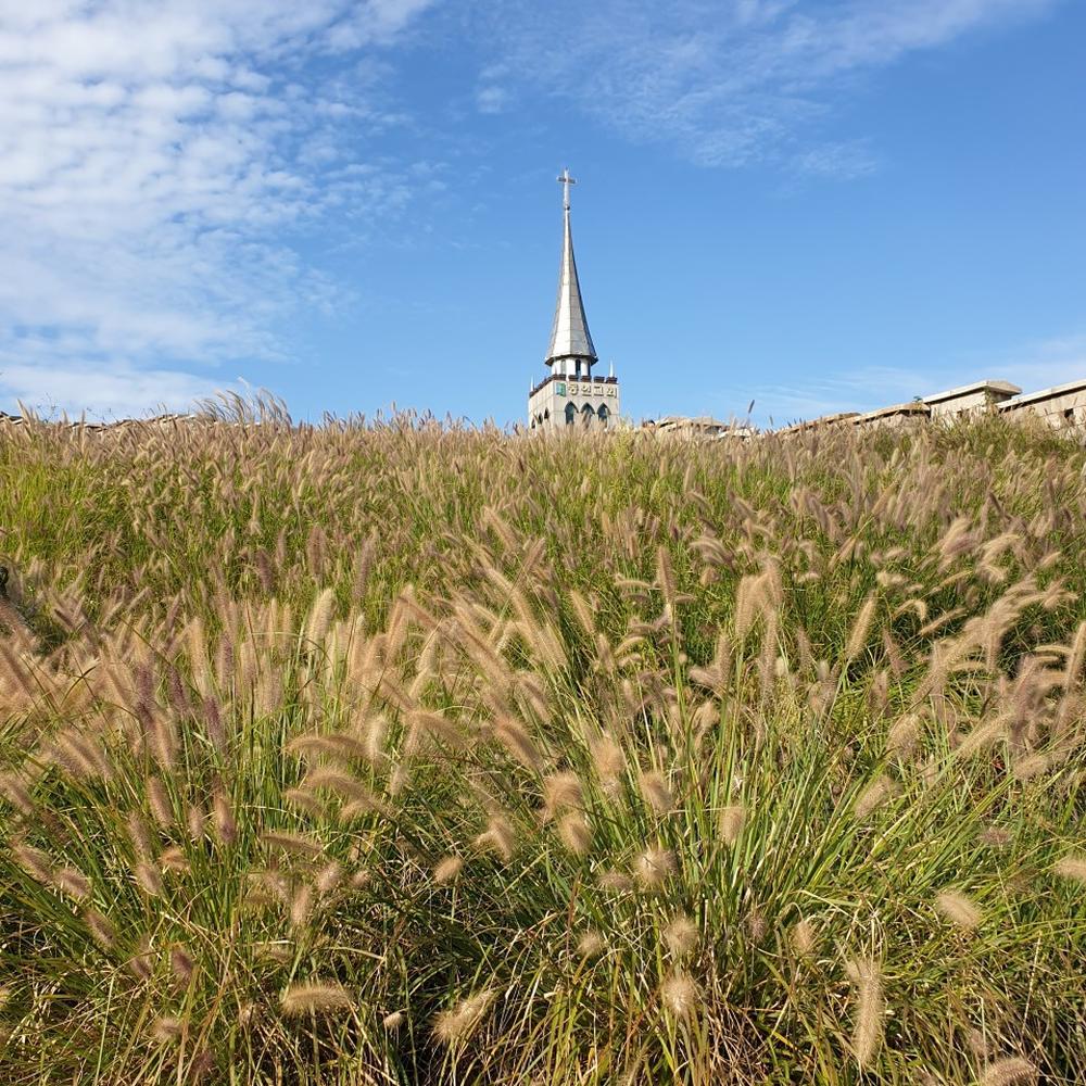 서울·경기도 근처 가을 억새 나들이 명소 추천 리스트 10곳 서울·경기도 근처 가을 억새 나들이 명소 추천 리스트 10곳