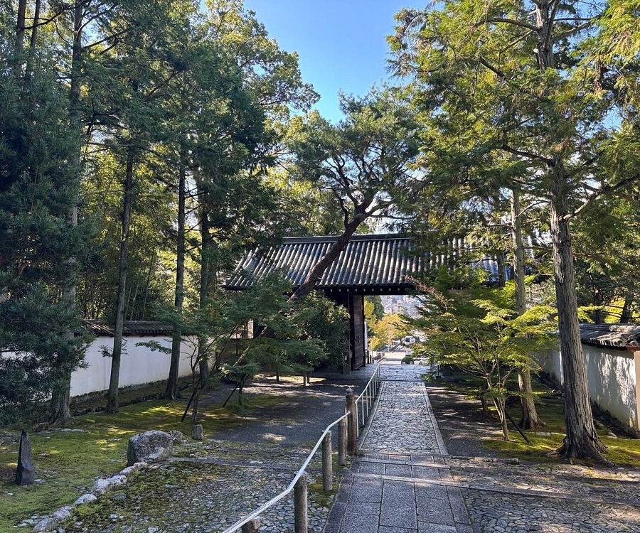 일본 교토 여행 가볼만한곳 추천 BEST 10｜관광 명소 필수 코스 총정리