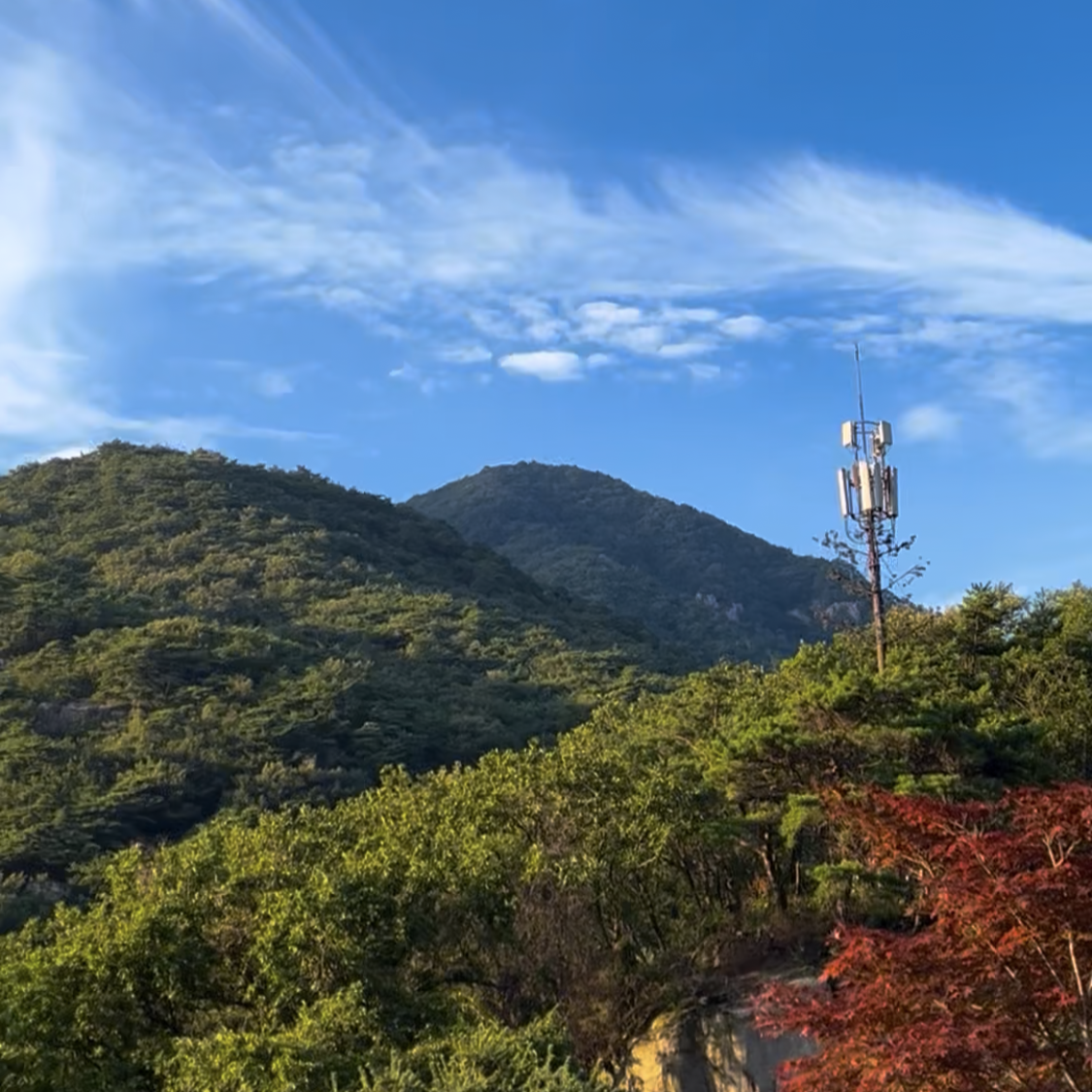 충북 제천 힐링 숙소 추천｜계곡 근처 펜션 청풍힐링스테이(한방자연치유센터)