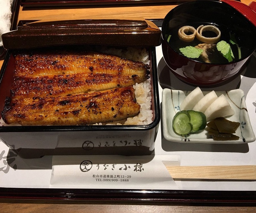 일본 마쓰야마 맛집 추천 BEST 10｜현지인도 인정한 인기 식당 총정리