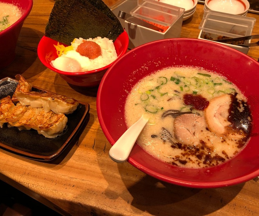 일본 마쓰야마 맛집 추천 BEST 10｜현지인도 인정한 인기 식당 총정리