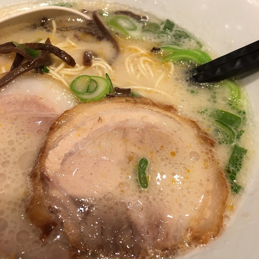 일본 마쓰야마 맛집 추천 BEST 10｜현지인도 인정한 인기 식당 총정리