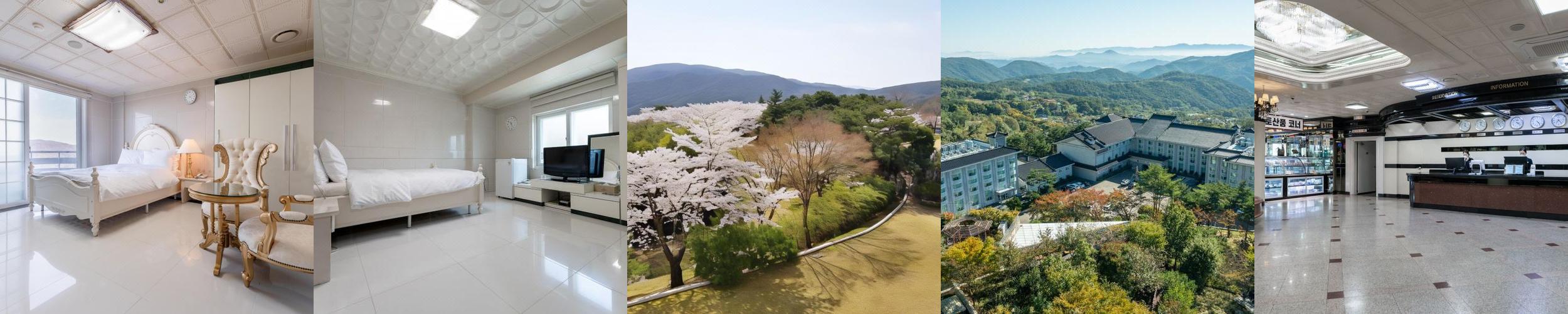 가야호텔: 자연과 조화를 이루는 편안한 숙소