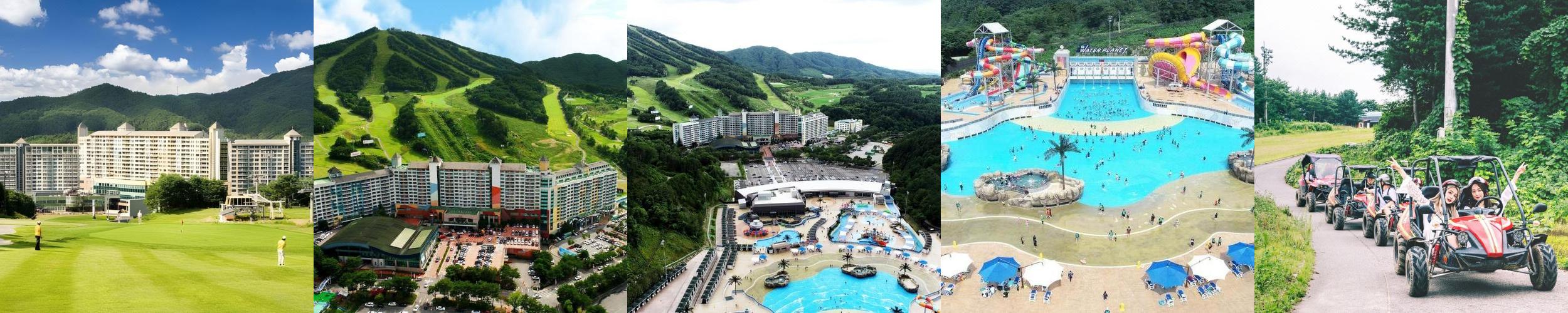 웰리힐리파크: 가족 여행에 적합한 숙소