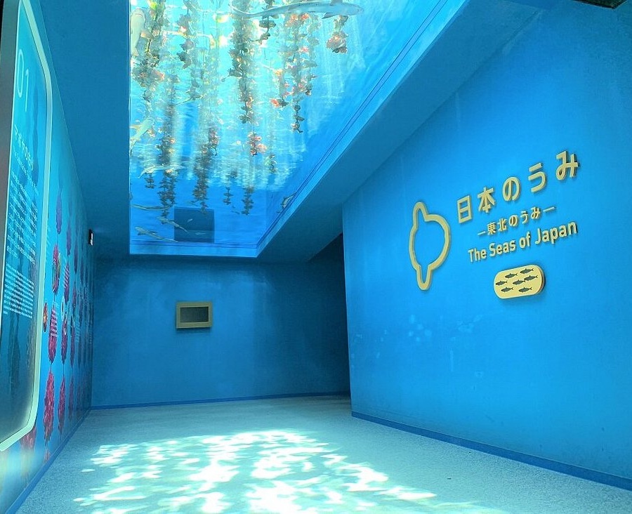 일본 도호구 센다이 여행 필수 코스 BEST 10｜명소 가볼만한곳 리스트 추천