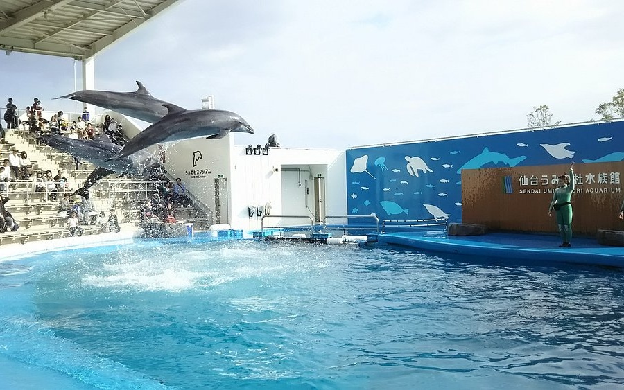 일본 도호구 센다이 여행 필수 코스 BEST 10｜명소 가볼만한곳 리스트 추천