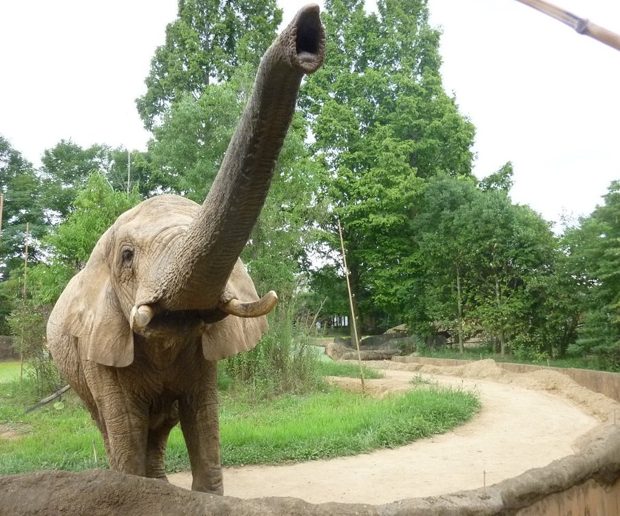 일본 도호구 센다이 여행 필수 코스 BEST 10｜명소 가볼만한곳 리스트 추천