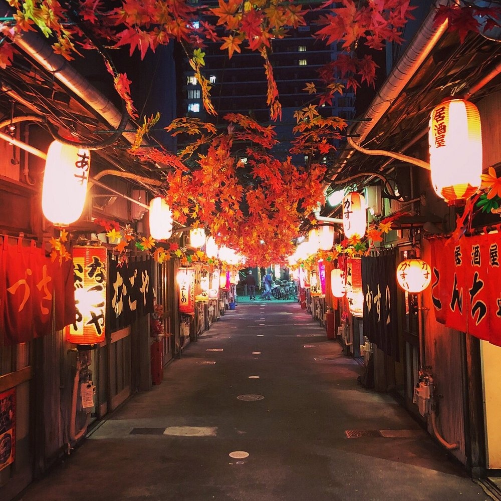 일본 시즈오카 여행 코스 추천 10곳｜필수 가볼만한곳 명소 리스트