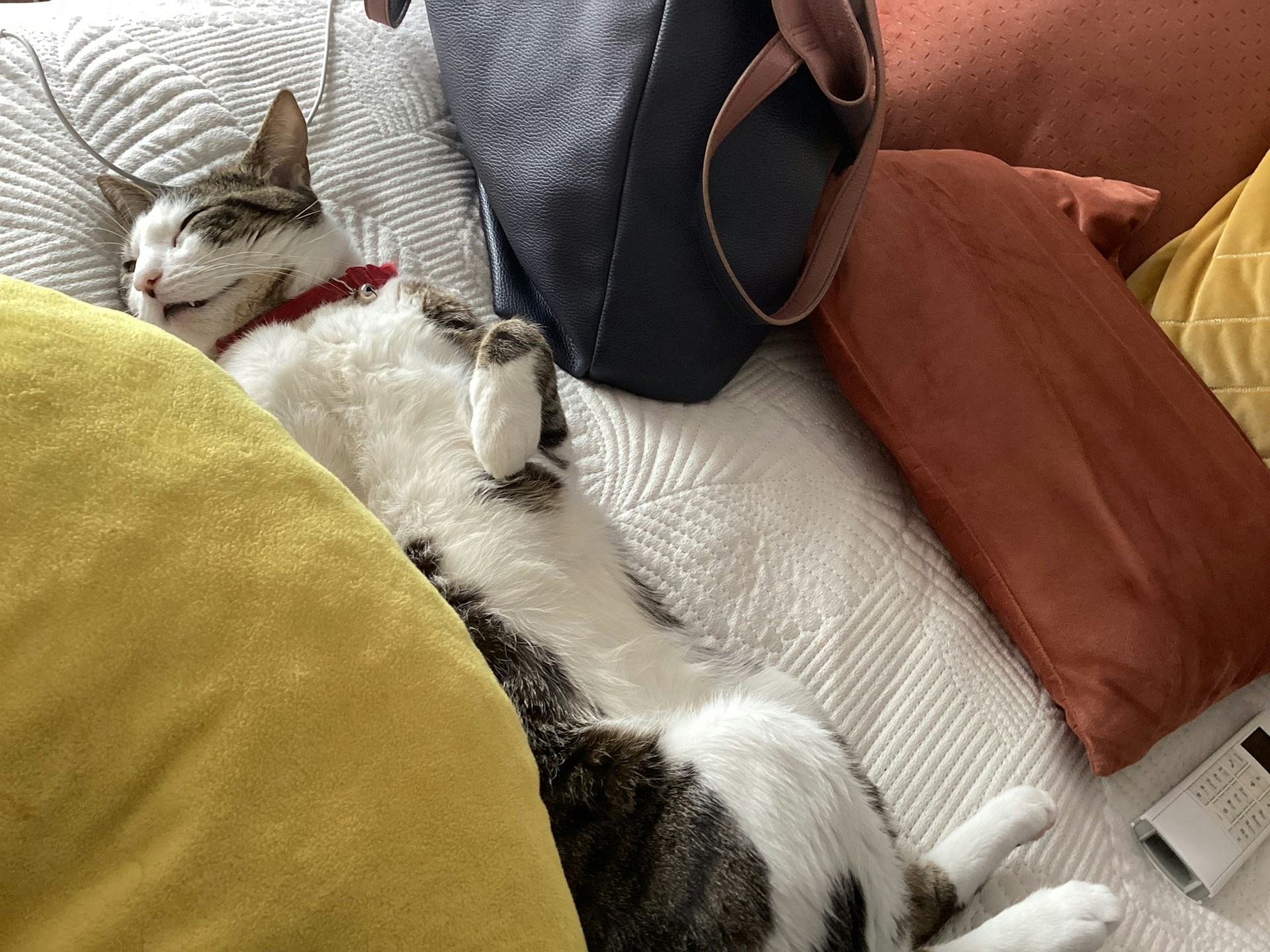 여행 중 피부관리 및 위생용품 추천｜장시간 이동 시 피로 줄이는 아이템