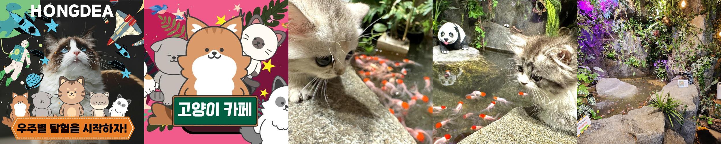 테이블에이 고양이카페: 다양한 동물과의 교감