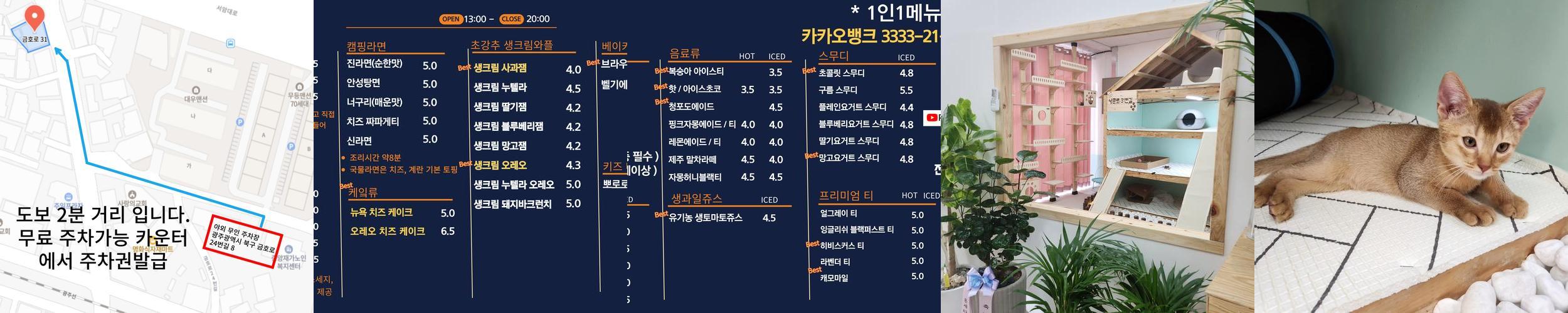 광주 고양이카페 베스트 추천 TOP 6